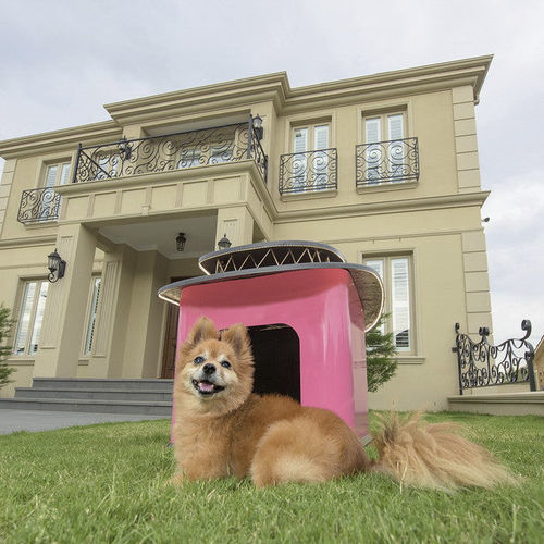 Cuccia per cane in fibra di carbonio - LA MAISON NOIRE - ALVARAE Design Studio