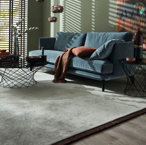 Moquette tufted - SILENCE - JAB ANSTOETZ FLOORING - pelo raso / in poliammide / a tinta unita
