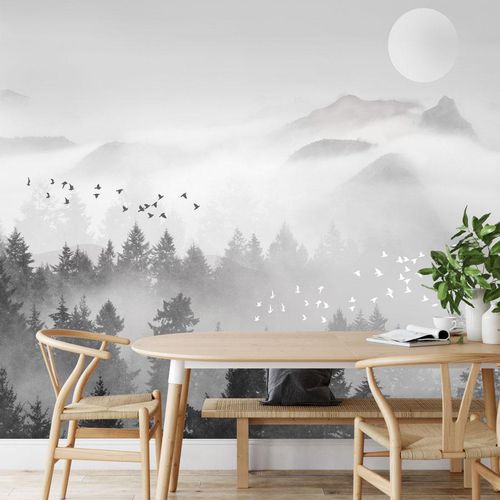 Carta da parati contemporanea - brume mystique mountain - MuralConcept - in tessuto non tessuto / panoramica / grigia