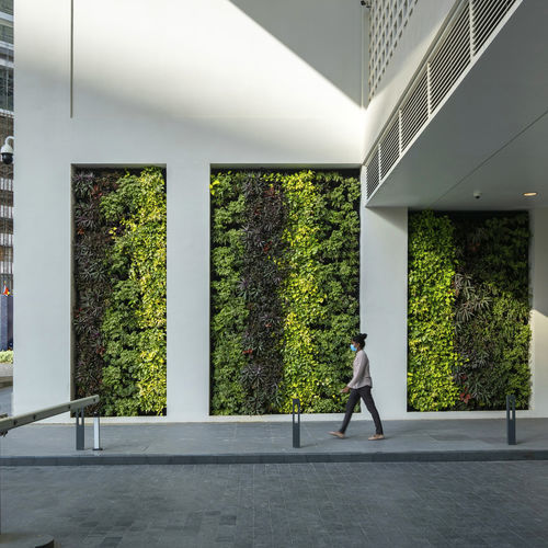 Giardino verticale di piante viventi - SKYGROW - Skytech Engineering L.L.C-FZ - su misura / in pannelli modulari / naturale