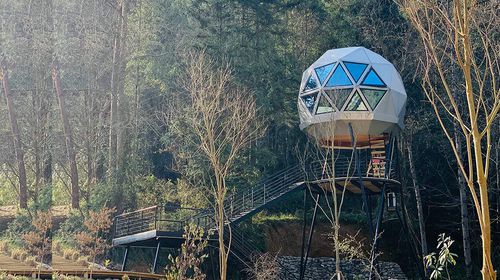 Casa prefabbricata - DOME - NingBo DeepBlue Smarthouse Co.,LTD. - sull'albero / contemporanea / individuale
