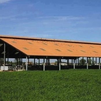 Lastra per copertura a falde - PLAKFORT 6 COLORPLUS - EDILFIBRO - in PVA / aspetto ardesia / aspetto metallo