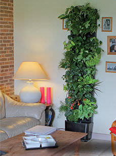 Parete vegetale da interno - FLOWALL® TOTEM - WATTELEZ