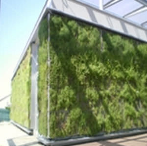 Parete vegetale da esterno - SOPRANATURE® VIVAGREEN® - SOPREMA - con struttura modulare