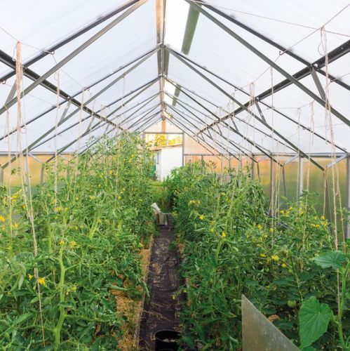 Lastra per copertura arrotondate - CARBO ONDA® - SEDPA - in policarbonato / alveolare / isolante