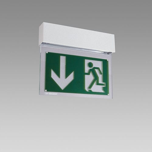 Illuminazione di emergenza da soffitto - WINDOW SAVE - REGENT LIGHTING - a muro / da incasso a soffitto / sospesa