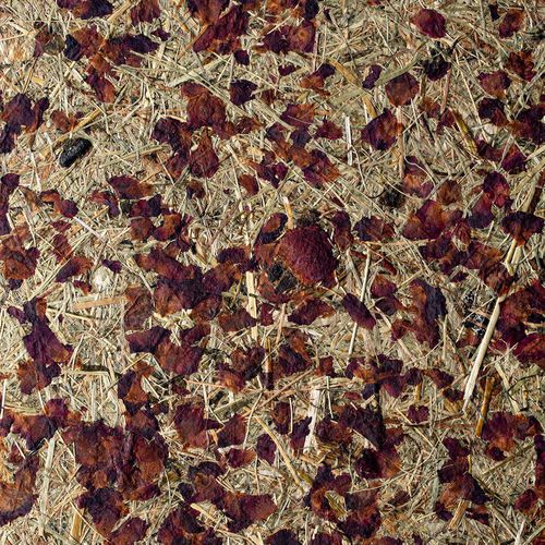 Pannello di rivestimento - ALPAGE & ROSES - OBERFLEX - per muro / ad alta resistenza / flessibile