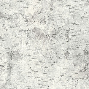 Pannello decorativo di rivestimento - BIRCHBARK - FORMICA - per arredamento / per interni / ad alta resistenza