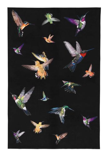 Tappeto contemporaneo - HUMMINGBIRD - The Rug Company - a motivi / in seta / rettangolare