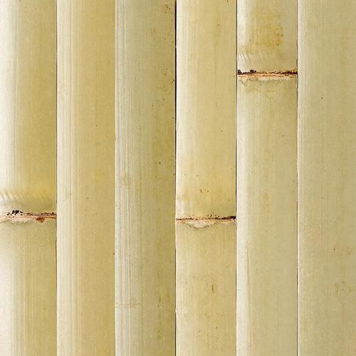 Perlina in legno - TAMBOUR : GREEN - Smith & Fong Plyboo