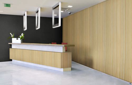Pannello decorativo da parete - LINEAR LINE PANEL STYLE LL3 - Smith & Fong Plyboo - in bambù / con scanalature