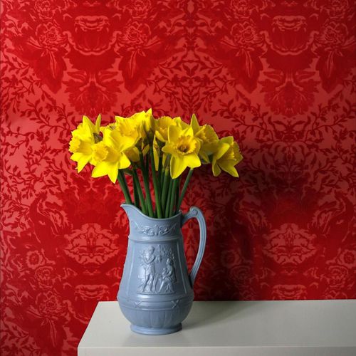 Carta da parati classica - DEVIL DAMASK FLOCK - Timorous Beasties - barocca / nera / rossa