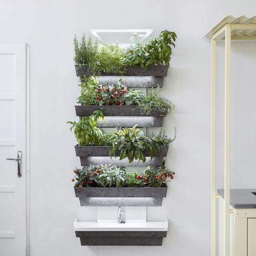 Giardino verticale di piante viventi - Hedera 4 - lightgreen srl - su misura / floreale / da interno