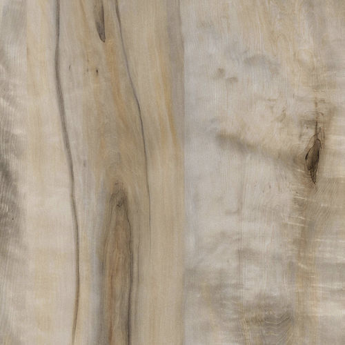 Pannello laminato per soffitto - ACERO FOSSILE - LAMITEX S.P.A. - per muro / per mobile / per porta