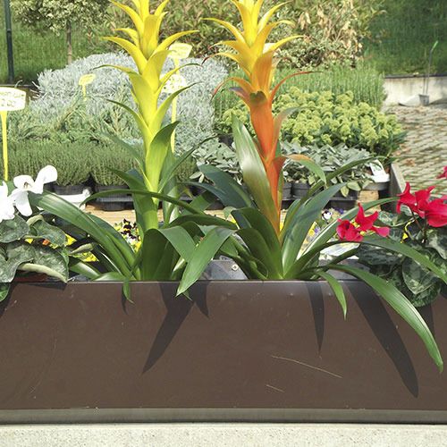 Fioriera in plastica - BIO-FLOWERPOTS  - ecohousesystem - rettangolare / rotonda / resistente agli UV