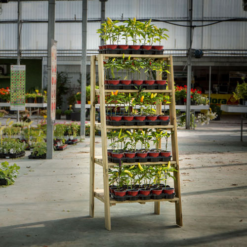 Espositore per piante - Five-Tier - Hortalia - in legno / a doppia faccia / 5 ripiani