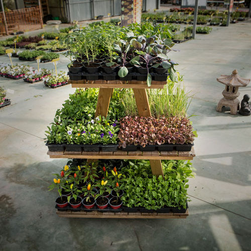 Espositore per piante - 600001 - Hortalia - in legno / a 4 lati / 3 ripiani