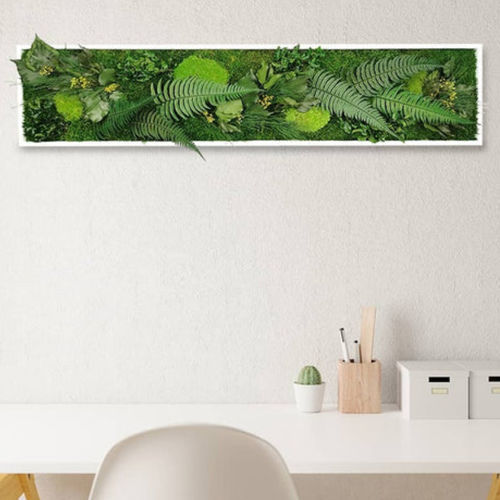 Quadro vegetale stabilizzato - ELEGANCE 25X115 - naturall green - naturale / in fogliame / floreale