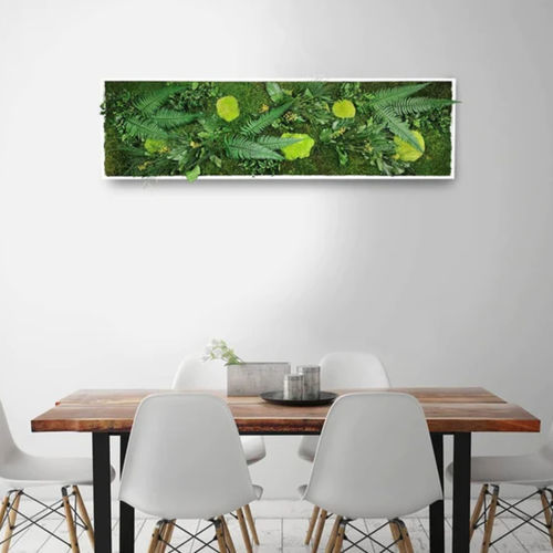 Quadro vegetale stabilizzato - ELEGANCE 40X140 - naturall green - naturale / floreale / da interno