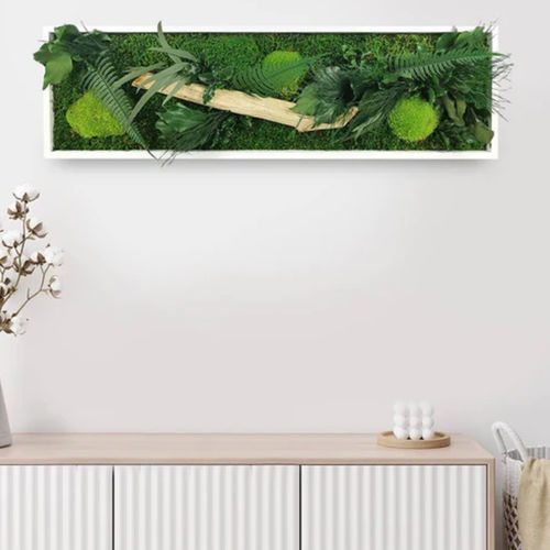 Quadro vegetale stabilizzato - 20x70 - naturall green - naturale / in fogliame / da interno