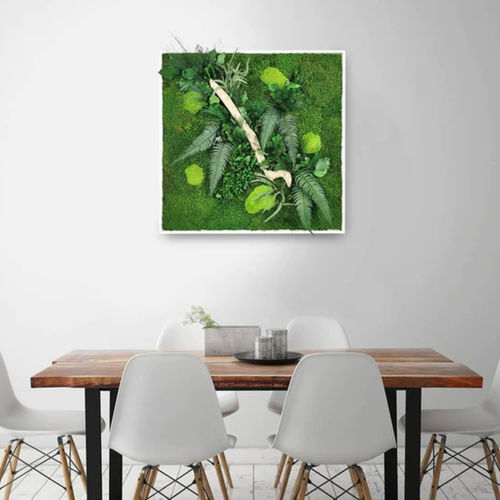 Quadro vegetale stabilizzato - 80x80 - naturall green - naturale / in fogliame / da interno