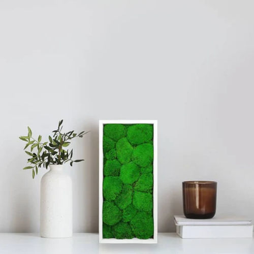 Quadro vegetale stabilizzato - STABILIZED 18X38 - naturall green - naturale / in muschio / da interno