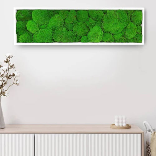 Quadro vegetale stabilizzato - STABILIZED 20X70 - naturall green - naturale / in muschio / da interno