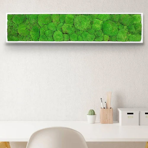 Quadro vegetale stabilizzato - STABILIZED 25X115 - naturall green - naturale / in muschio / da interno
