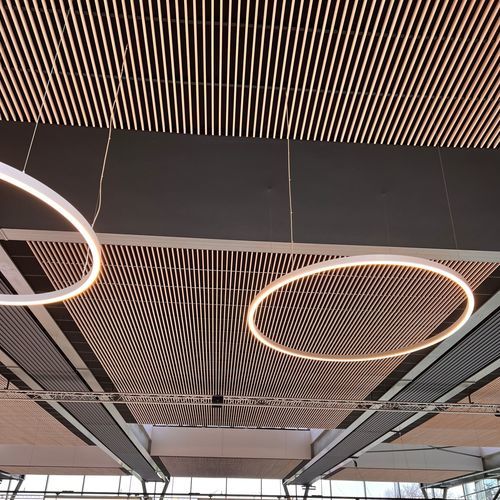 Pannello acustico per muro - WL V8 38 - Woodslines - per soffitto / in larice / in legno massiccio