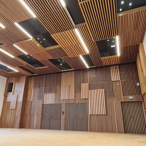 Pannello acustico per muro - WL H7 38 - Woodslines - per soffitto / in larice / in legno massiccio