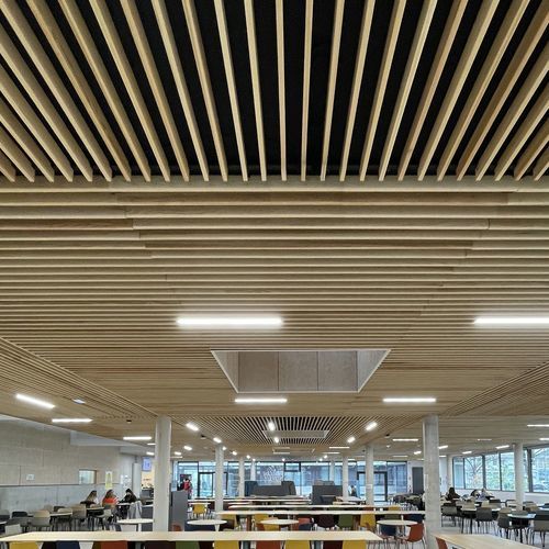 Pannello acustico per muro - WL V7 68 - Woodslines - per soffitto / in legno massiccio / in rovere