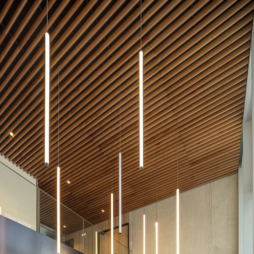 Pannello acustico per muro - WL V6 90 - Woodslines - per soffitto / in legno massiccio / in rovere