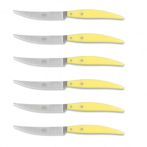 Coltello da bistecca con manico in PMMA - Policromia  - COLTELLERIE BERTI - con lama in acciaio inossidabile
