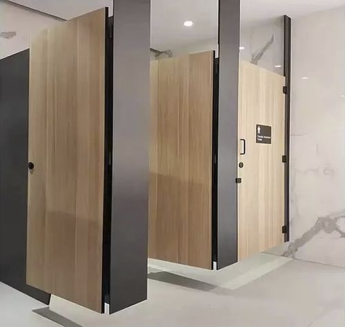 Parete divisoria per orinatoio laminato compatto - Changzhou Zhongtian Fire-proof Decorative Sheets Co., Ltd. - in HPL / per sale polivalenti / per scuola materna
