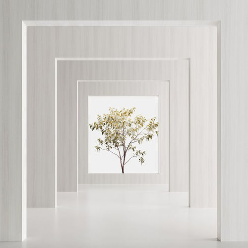 Pannello decorativo di rivestimento - Nitens White DB1 - Saviola - da parete / melaminico / colorato
