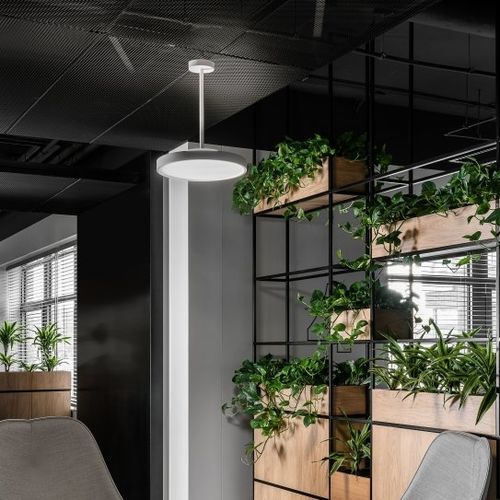 Luce a sospensione - flexxica - LED / circolare / IP20