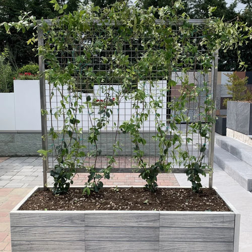 Graticolato per giardino verticale - DOMINO Srl - in acciaio inossidabile / di lunga durata
