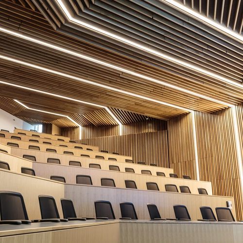 Pannello acustico per muro - Specialist Joinery Group - in legno / rettangolare / per d'auditorium