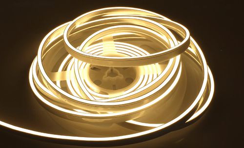 Striscia flessibile a LED - NEO6LT-270-120D22-5 - Ledpoint