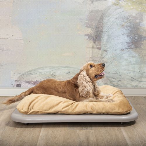 letto per cane in legno massiccio - LABILLA