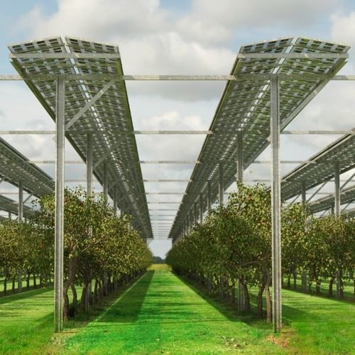 Sistema di montaggio a terra - FlexAgri Fruit - voestalpine Sadef nv - solare / per modulo fotovoltaico
