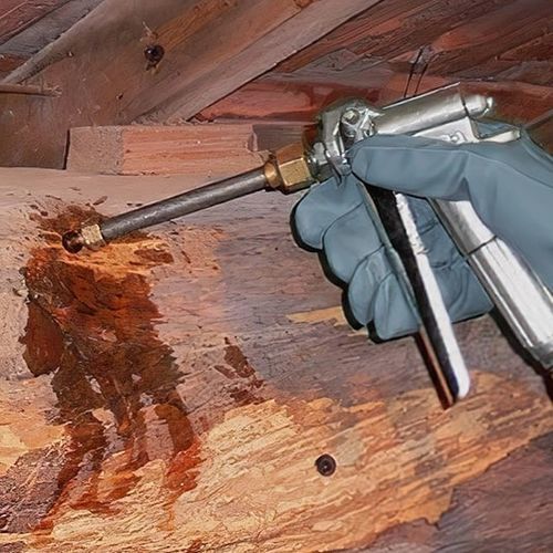 Trattamento di protezione di preservazione del legno - TECHNICIDE M - TECHNICHEM FRANCE - liquido / per interni / antimuffa