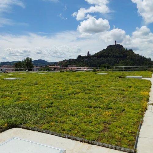 Sistema per giardino pensile estensivo - VEGETEK - semi-intensivo / per tetto piano / con impianto fotovoltaico integrato