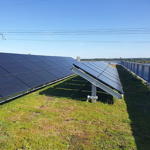 Tetto verde per tetto piano - BIOSOLAIRE - VEGETEK - con impianto fotovoltaico integrato