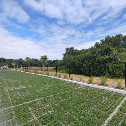 Struttura per impianto vegetale per albero - VEGETEK - per arbusti / modulare / per spazi pubblici