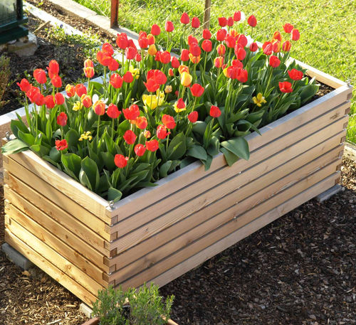 Fioriera per orto in larice - Gartenfrosch GmbH - per uso residenziale / da esterno / con sistema di innaffiatura integrato