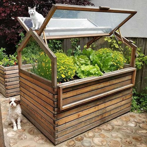 Serra da giardinaggio - Gartenfrosch GmbH - a campata / in larice / mini