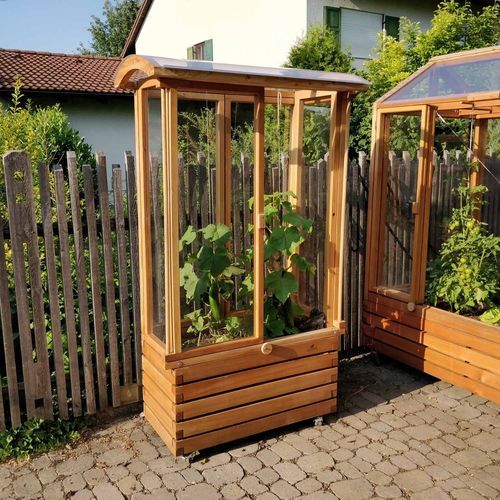 Serra da giardinaggio - Gartenfrosch GmbH - a campata / in larice / per pomodori