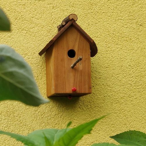 Nido per uccelli in larice - Gartenfrosch GmbH - da parete