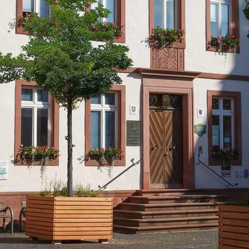 Fioriera in legno - Gartenfrosch GmbH - quadrata / su misura / modulabile